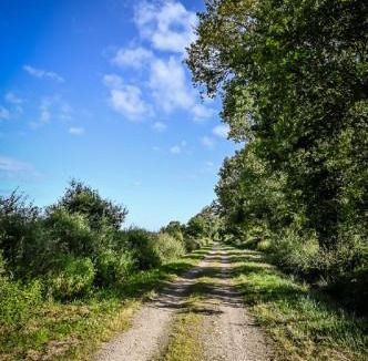 Sainte-Severe-sur-Indre Bed & Breakfast | Studio Les Pourettes