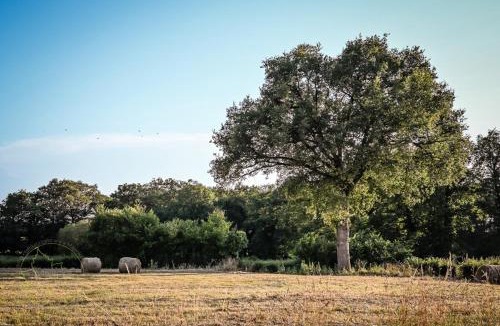 Sainte-Severe-sur-Indre Bed & Breakfast | Studio Les Pourettes