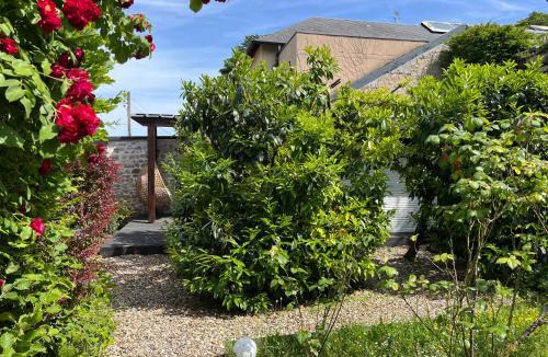 Saint-Martin House | Studio Luxe + jardin et terrasse