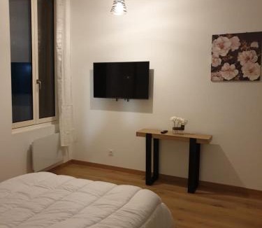 La Real Apartment | Studio Maillol centre historique Perpignan