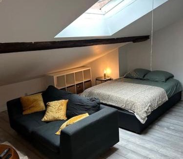 Metz-Centre – Ancienne Ville Apartment | Studio Metz centre & gare