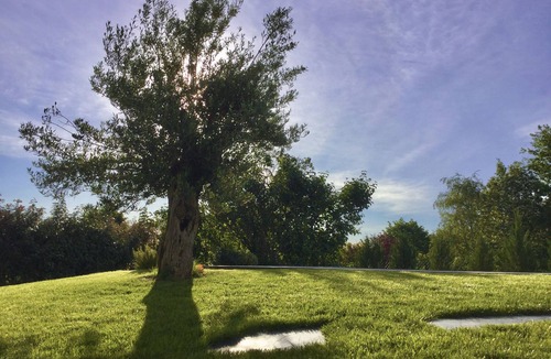 Castelmaurou House | Studio Meublé 2 Personnes