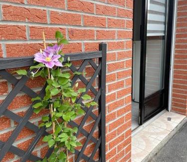 Saint-Amand-les-Eaux Apartment | studio meublé, résidence calme