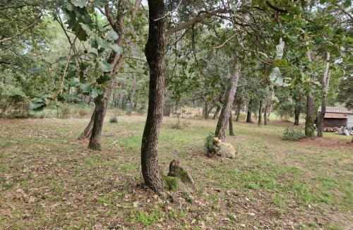 Mornas Apartment | studio mornas