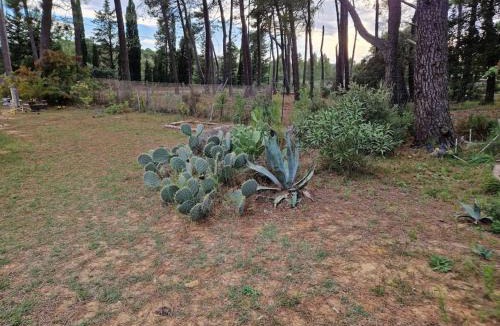 Mornas Apartment | studio mornas