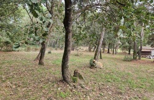 Mornas Apartment | studio mornas