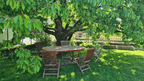 Sainte-Marie-de-Cuines House | Studio Mountain Star Dream