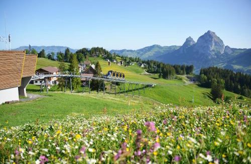 Schwyz Apartment | Studio Mythen