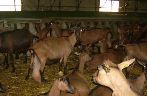 La Canourgue Cabin | Studio nature a la ferme
