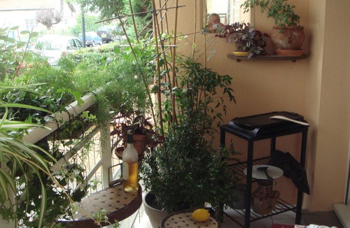 Le Busca Apartment | Studio near center and Canal du Midi, private parking, terrace overlooking garden