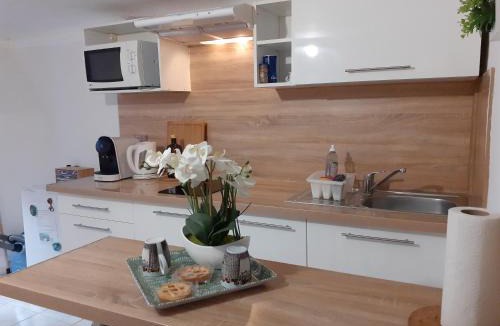Vernier Apartment | Studio neuf centre ville Quartier Libération