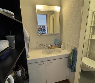 Alt-Wiedikon Apartment | Studio next to Sihlcity!