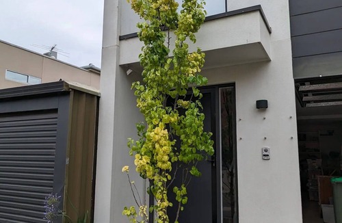 Norwood Apartment | Studio on Mattingley