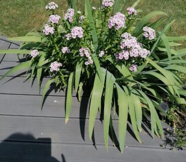 Nouzilly Apartment | Studio Paisible