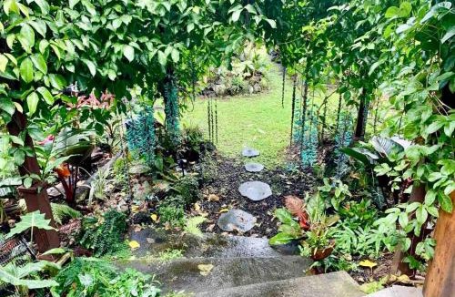 Kehena Apartment | Studio Phoenix Pet Friendly Near Black Sand Beach & Volcanic Forest