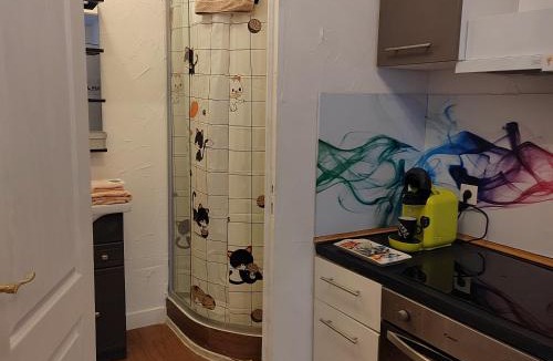 Auch Apartment | Studio plein centre