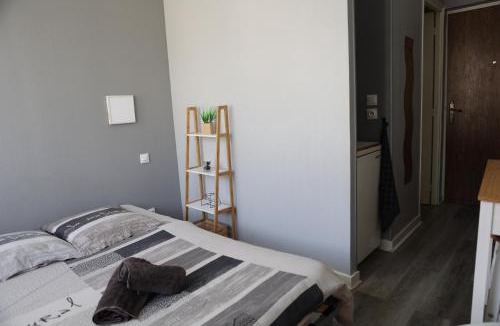 Bourges Apartment | Studio proche du centre ville - Studio Printemps