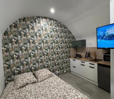 Saint-Jean-de-Vedas Apartment | Studio rénové centre-ville - Tram et Parking gratuit
