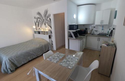 Amelie-les-Bains-Palalda Apartment | Studio Rue Castellane pour Cure ou Tourisme Vert à 2 min des Thermes