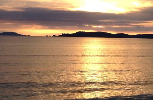 La Capte Apartment | Studio Rdc-Studio-Ensuite with Shower-Garden view