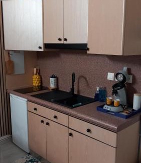 Les Halles - Valliere Apartment | Studio Robine les halles avec clim