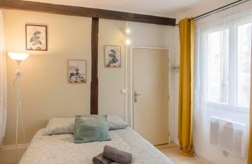 Bourgogne Apartment | Studio Rue piétonne Orléans