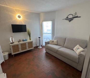 Saint-Cyprien Plage Apartment | Studio Saint-Cyprien Port