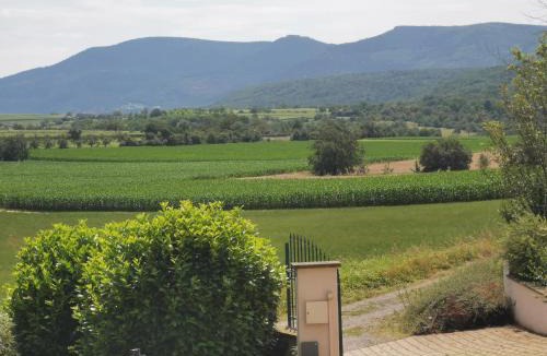 Rosheim Apartment | Studio spacieux, route des vins