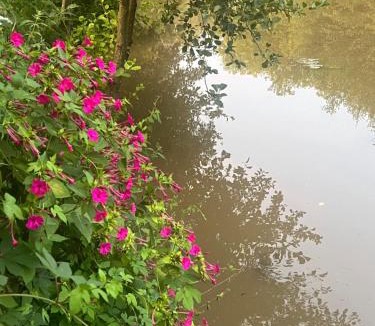 Saint-Florentin Apartment | Studio St Florentin