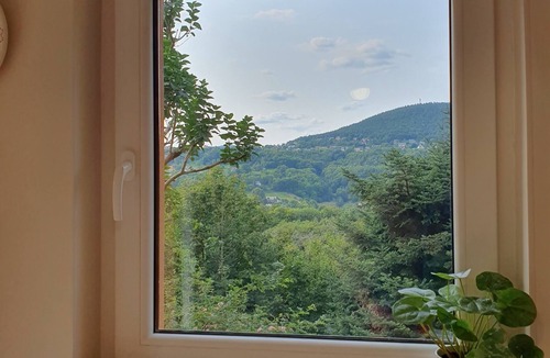 Labaroche Apartment | Studio-Standard-Ensuite with Shower-Mountain view