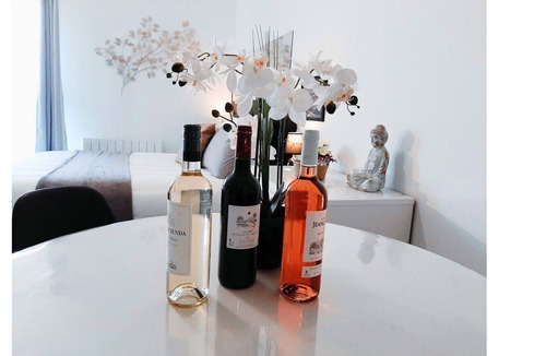 Sud Loire Apartment | Studio Standing - NUIZEN