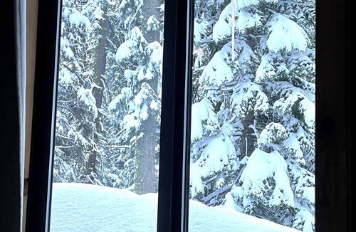 Echo Lake Cabin | Studio style cabin in Twin Bridges with Mountain View’s near Sierra Ski Resorts