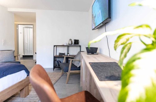 St. Gallen Apartment | Studio stylish blue (5) with shower (plus kitchen for shared use)