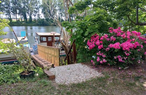 Conflans-Sainte-Honorine Apartment | Studio sur l'eau - Bateau Diva