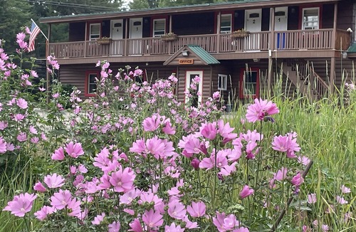 Stratton Apartment | Studio Suite 1 with full kitchen