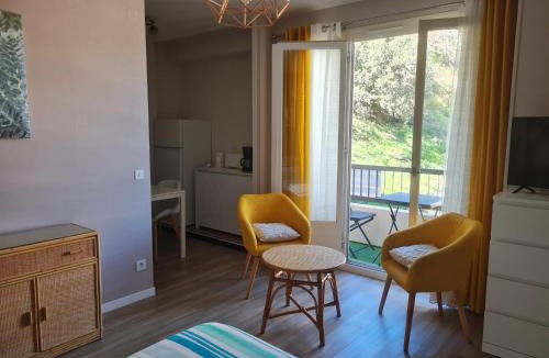 Amelie-les-Bains-Palalda Apartment | Studio tout confort avec balcon à 100m des Thermes