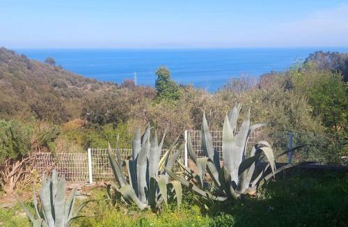 Cardo House | Studio terrasse climatisé VUE MER avec parking