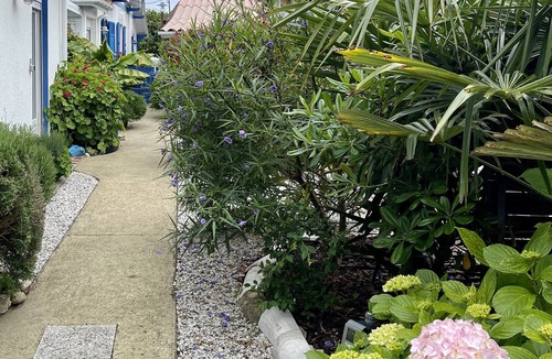 Le Canon House | Studio the "Tea room"