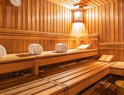 Waldhaus Flims Apartment | Studio Top im des Alpes