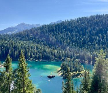 Waldhaus Flims Apartment | Studio Top im des Alpes