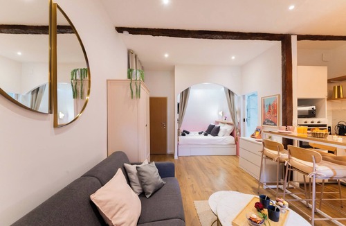 Saint-Cyprien Apartment | Studio Toulouse Capitole - La Voute Rose