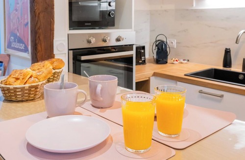 Saint-Cyprien Apartment | Studio Toulouse Capitole - La Voute Rose