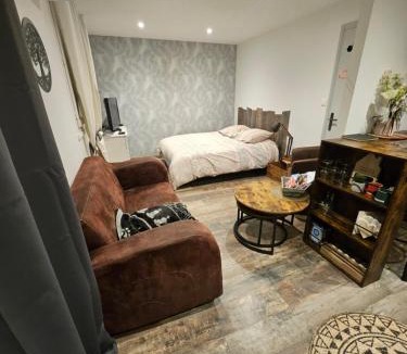 Blaye-les-Mines Apartment | Studio tout confort