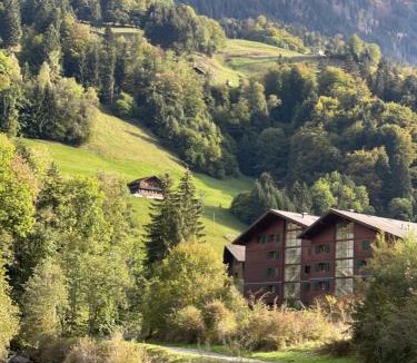 Val d'Illiez Apartment | Studio , Val-d’Illiez