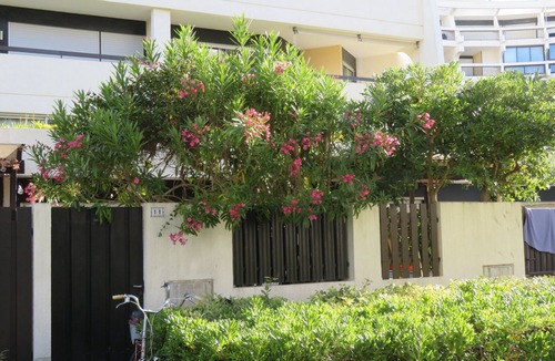 La Petite Motte Apartment | Studio "villa" la Motte du Couchant - 100 m south beach - private parking.