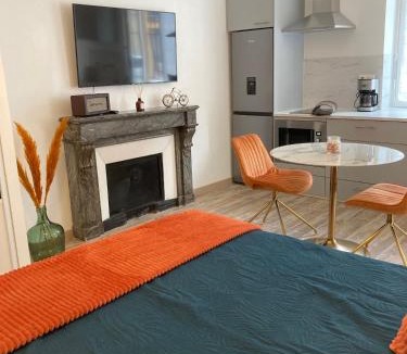 Villefranche-sur-Saone Apartment | Studio Vintage avec cheminée décorative