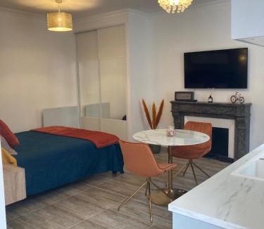 Villefranche-sur-Saone Apartment | Studio Vintage avec cheminée décorative