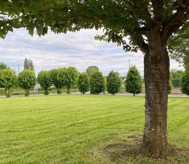 Ribecourt-Dreslincourt Apartment | Studio Voltaire