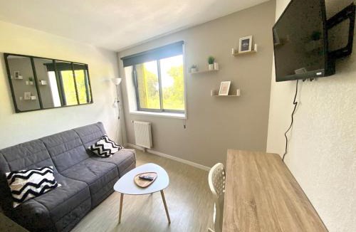 Montaudran - Lespinet Apartment | Studio WIFI TÉLÉ parking privé ,ENTREE AUTONOME