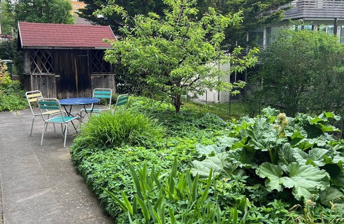 Oerlikon Apartment | Studio with double bed, kitchen and bathroom/WC